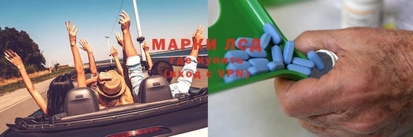 сатива Алзамай