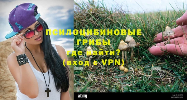 спайс Алексеевка
