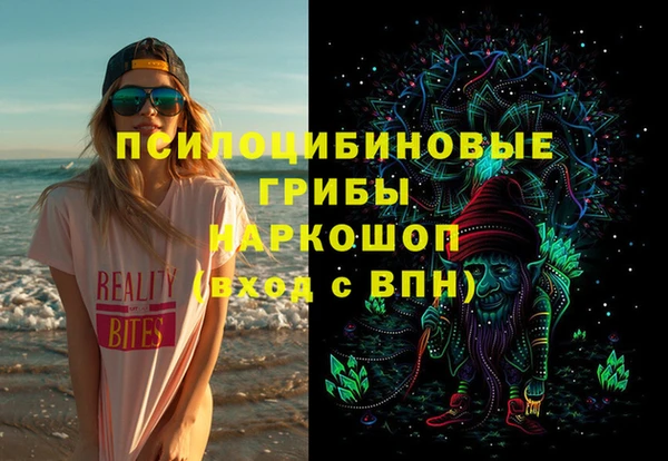 мдпв Алексин
