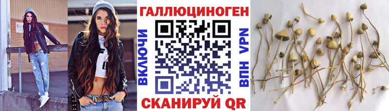Псилоцибиновые грибы мухоморы  Алатырь 